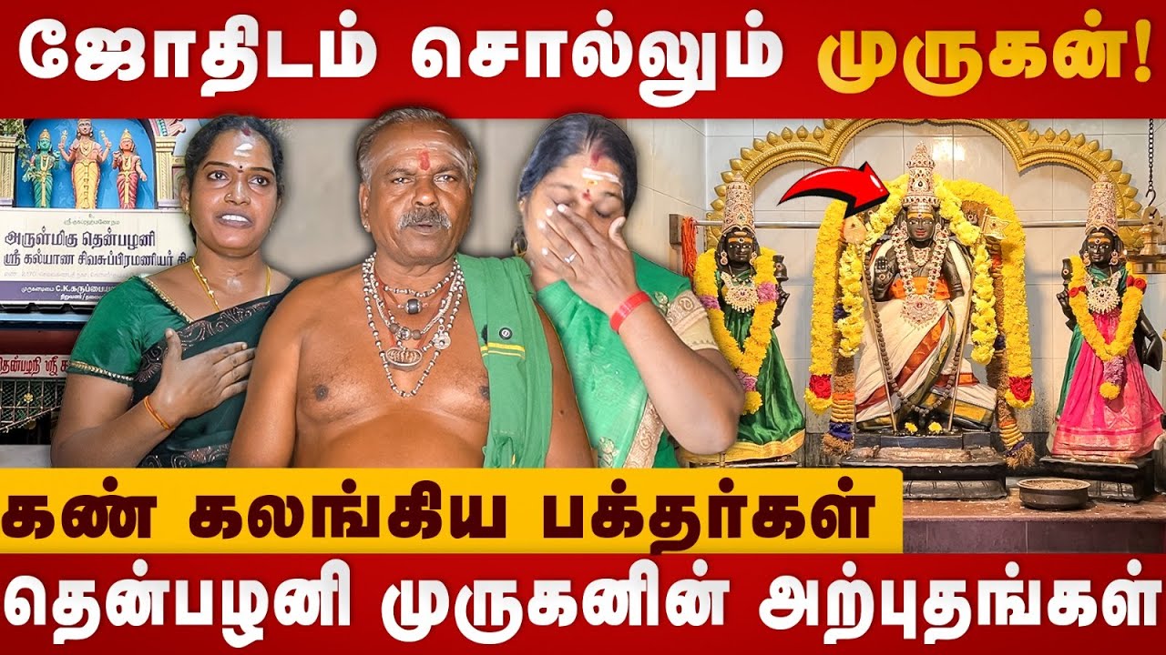 ஜோதிடம் சொல்லும் முருகன் ! | Chennai Murugan Temples | Murugan | Murugan Songs | The Divine Tamil