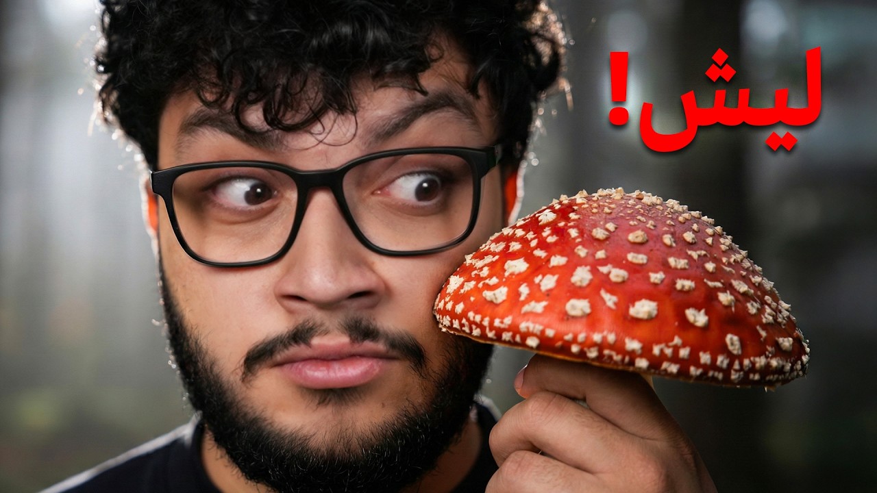 هذا المخلوق ممكن يكون اذكى منك