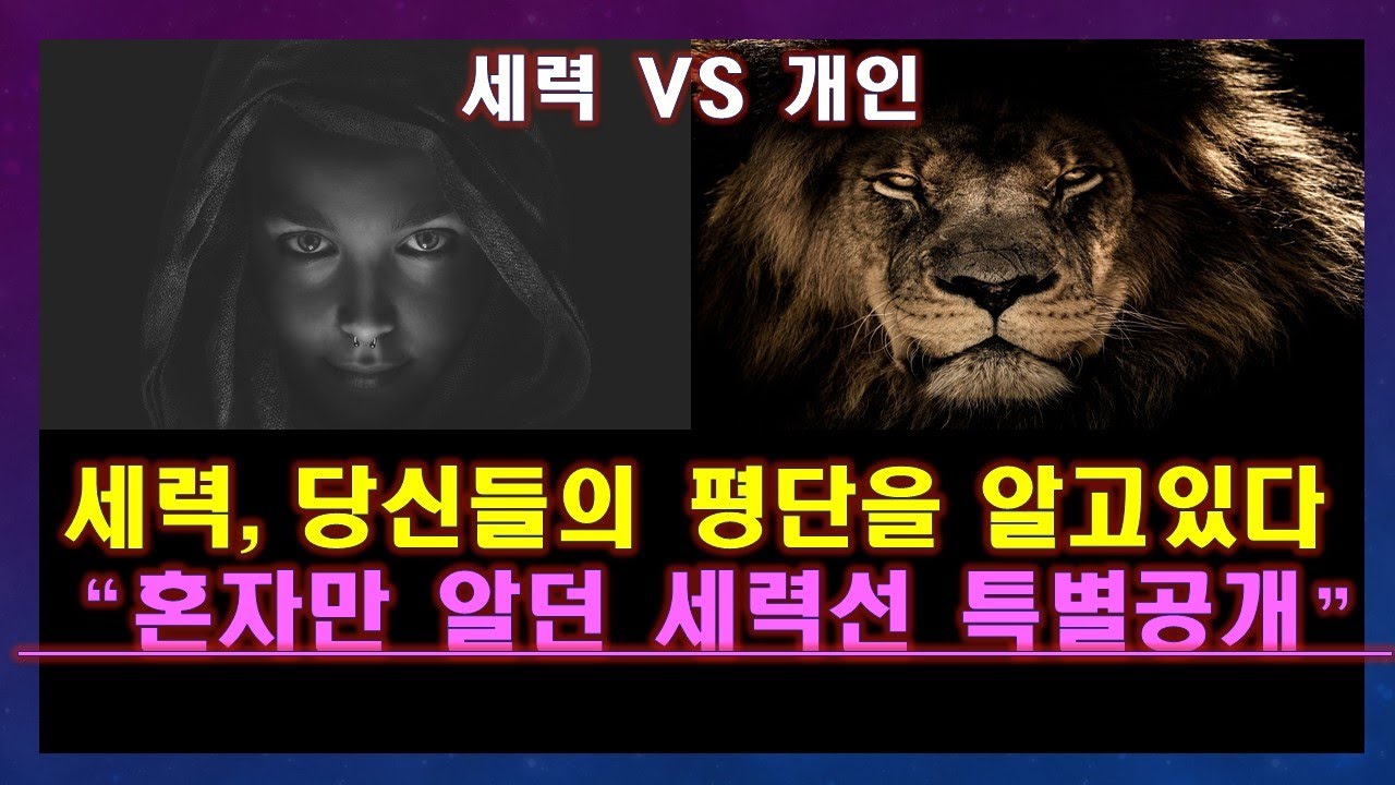 세력들의 평단을 알아내는법! 아무도 알려주지 않습니다.