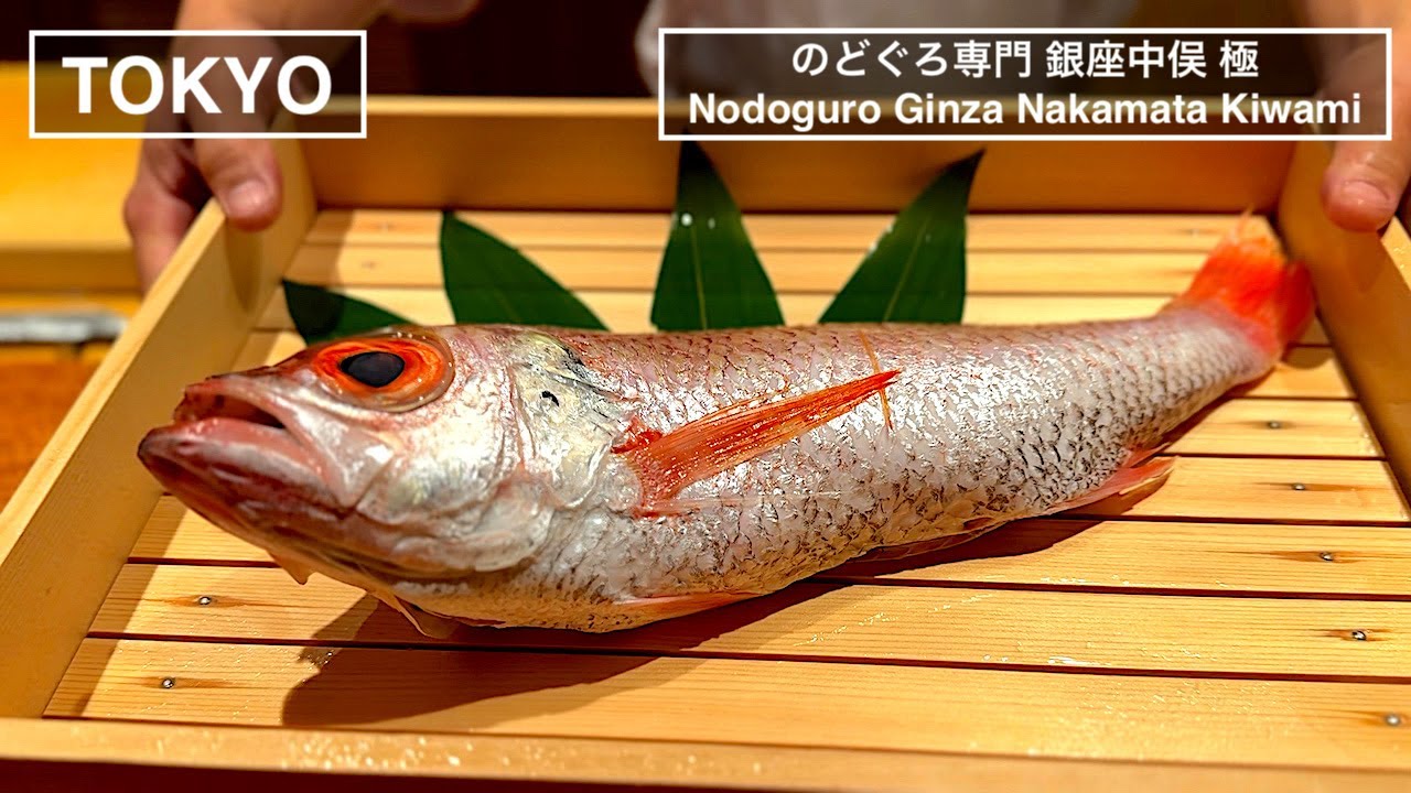 のどぐろ専門店が贈る厳選食材を使用した多彩なのどぐろ料理をお愉しむ - 銀座 中俣 極 - 【東京】