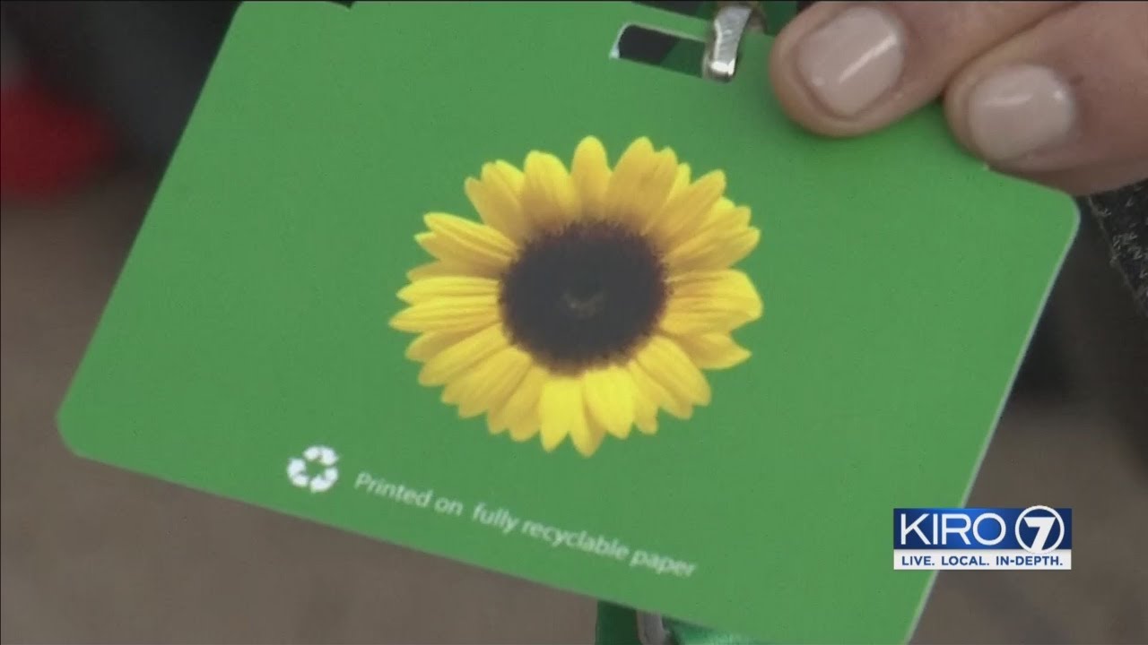 VIDEO: Changes made at SeaTac airport