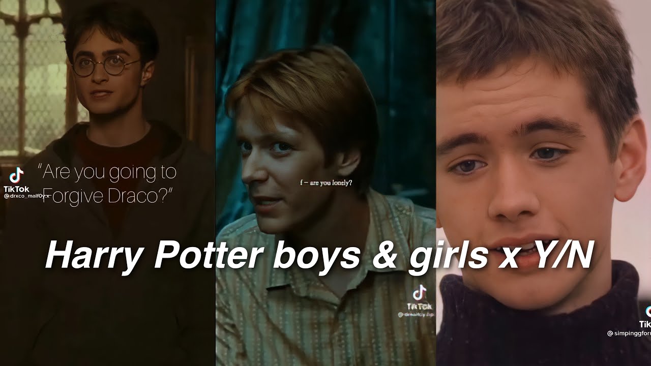 Harry Potter boy + girls x Y/N TikTok POVs