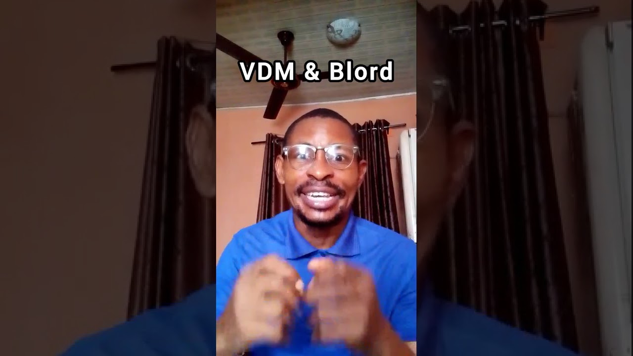 Alot of igbos are now celebrating Blord @g@!nst VDM hmm