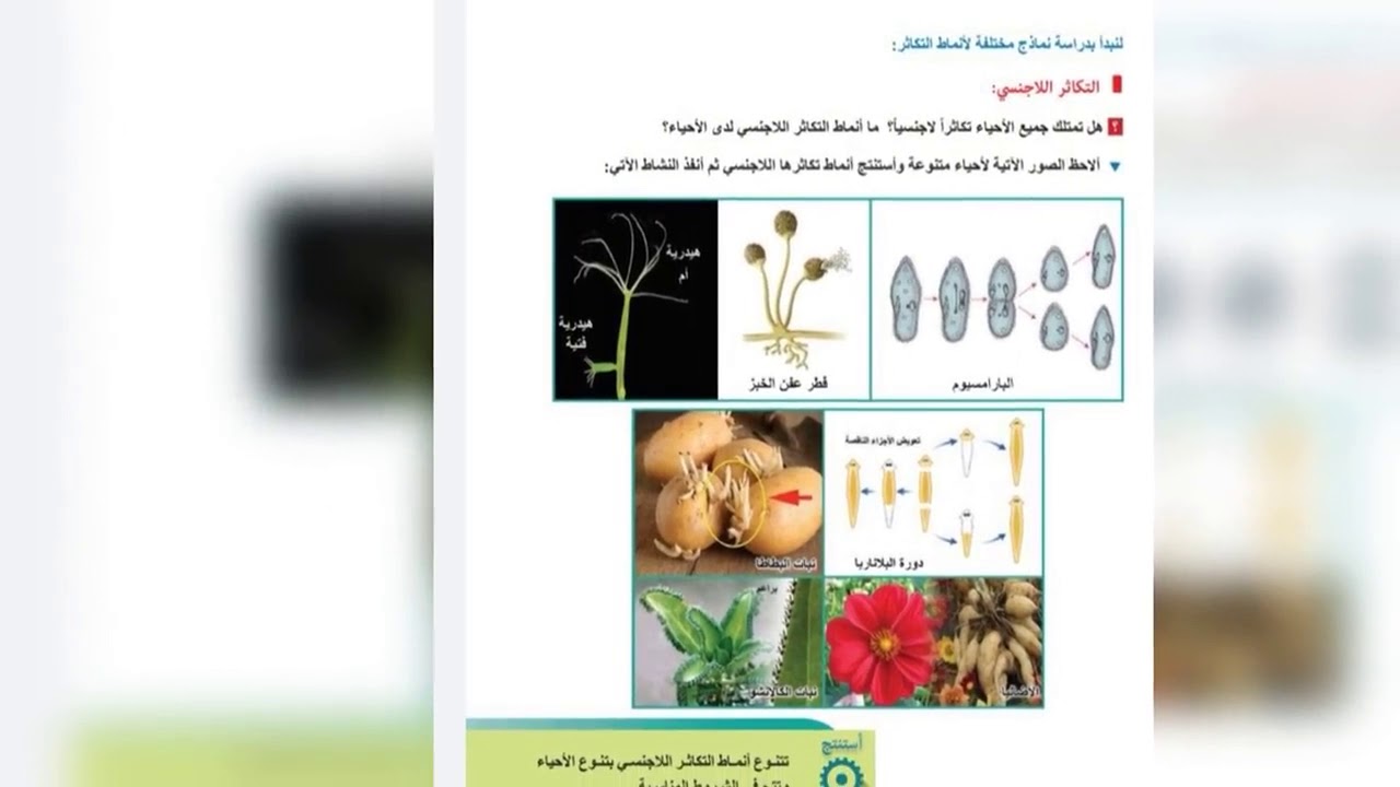 علوم بكالوريا التكاثر عند الأحياء (2)للأستاذ نضال أقجه🧠💯