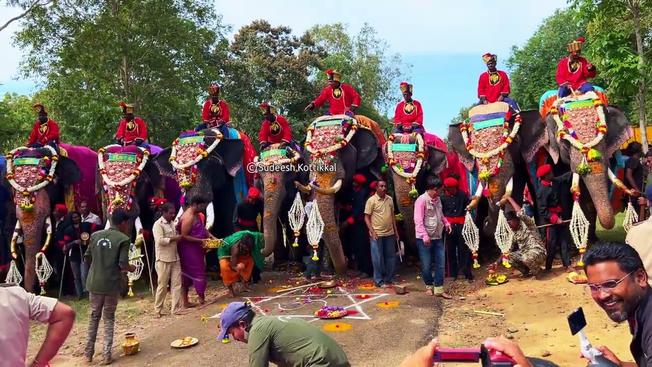 Gajapayana ಗಜಪಯಣದೊಂದಿಗೆ ಮೈಸೂರು ದಸರಾ ಶುರು Mysuru Dasara begins Veeranahosahalli Hunsur Aranya Bhavana