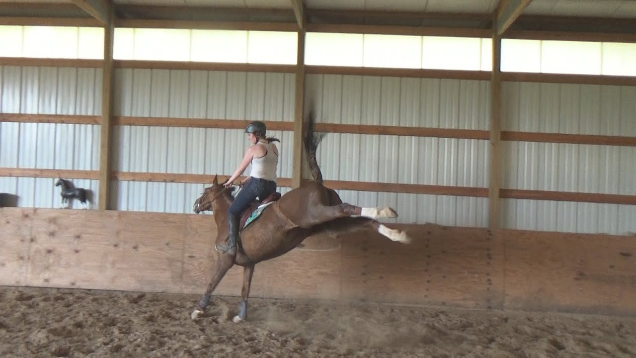 Sassy mare hasn't been ridden in 2 months, yikes