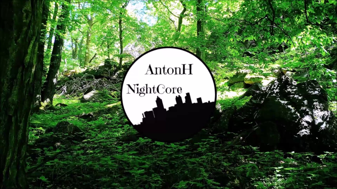 Dont Let It Go (feat. Brado Sanz) By Anikdote & Culture Code! NightCore