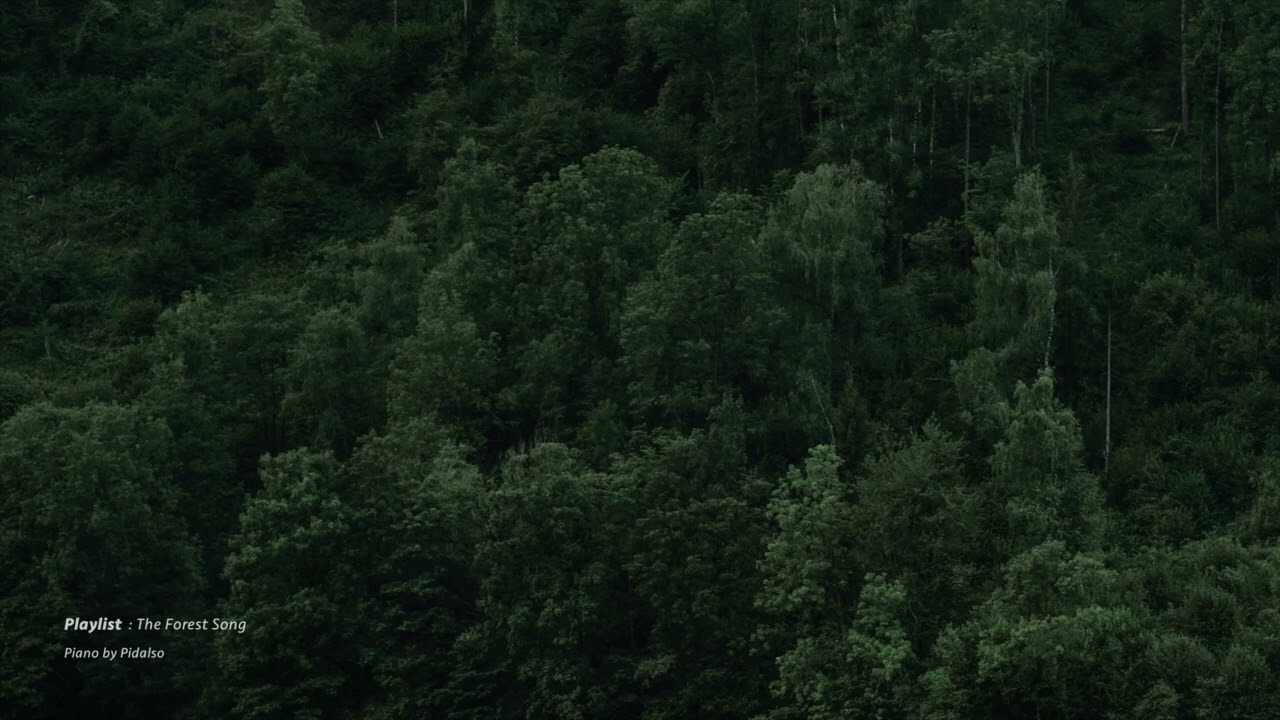 The Forest Song
