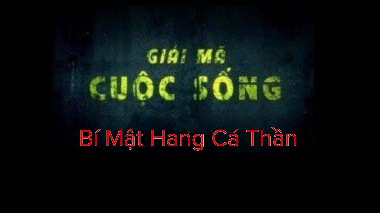 BÍ MẬT HANG CÁ THẦN | VTV2 - Giải Mã Cuộc Sống