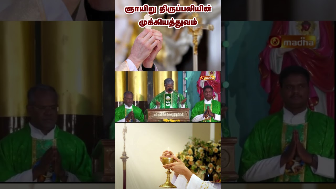 Fr. Steephen CMI #HolyMass #healing #sundaymass #verypowerfulmass #sundayishealingday