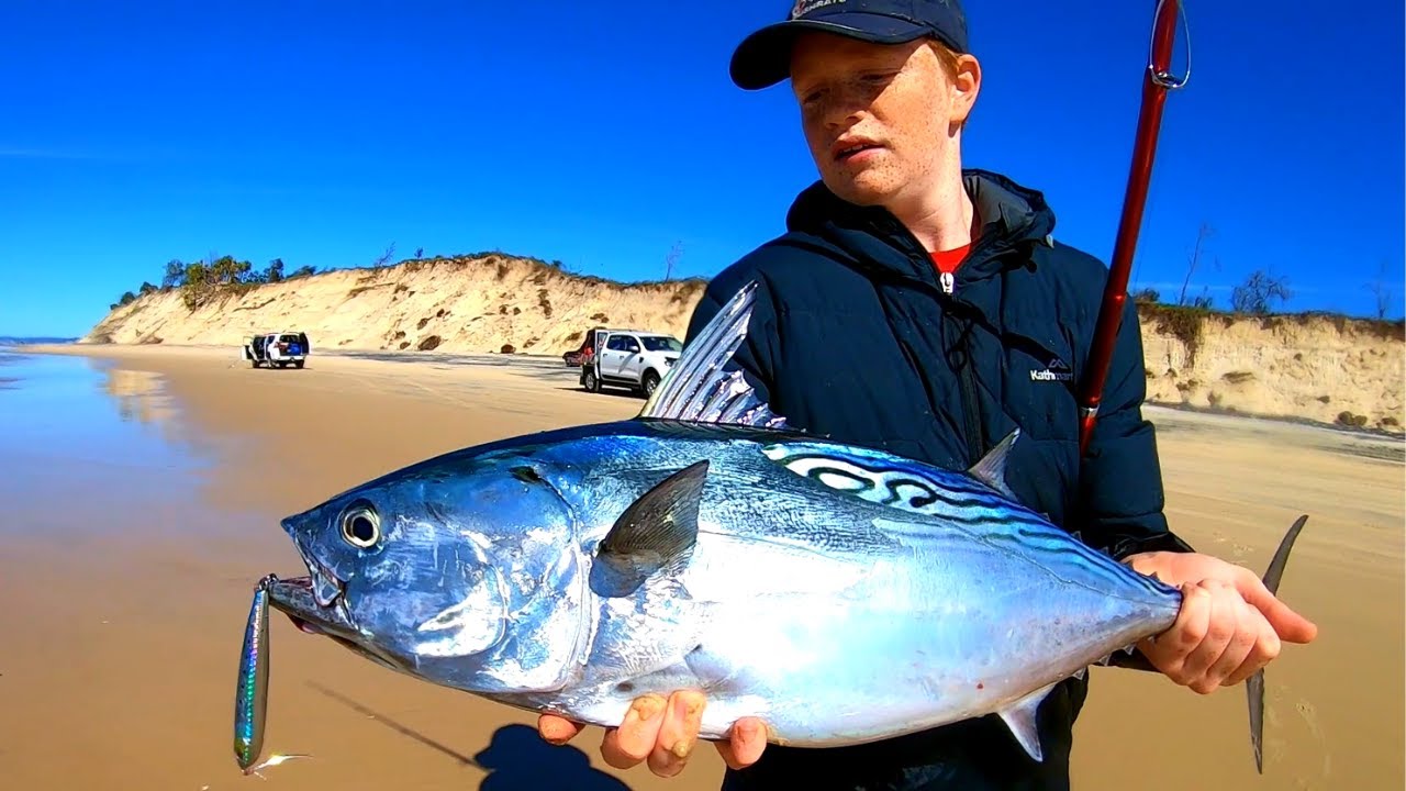 22 TUNA, MACKEREL, GT'S, TAILOR! (Fishing Fraser Island)