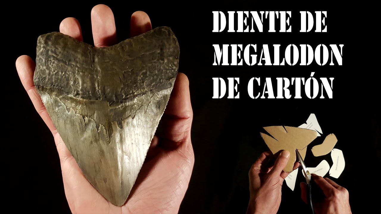 Diente de Megalodon de cartón - tutorial - Paleocartón 13