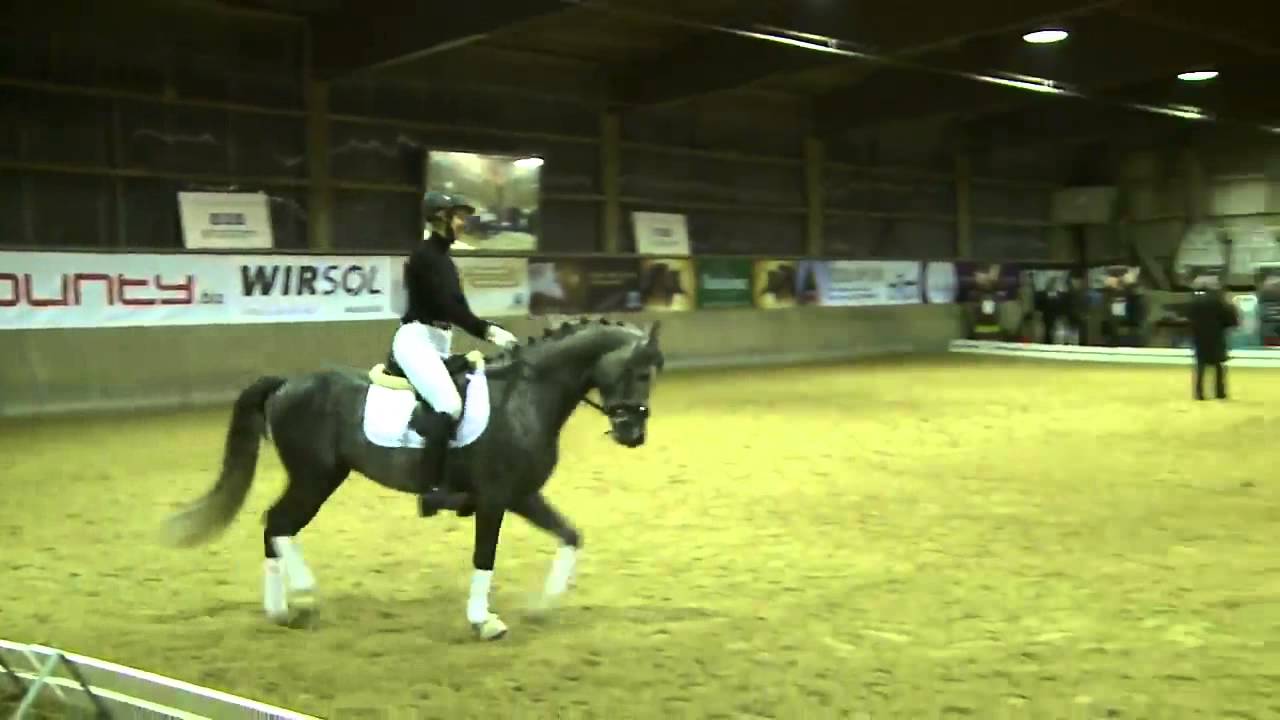 Klaus Balkenhol in Stuttgart, Leonberg - Teil 2a