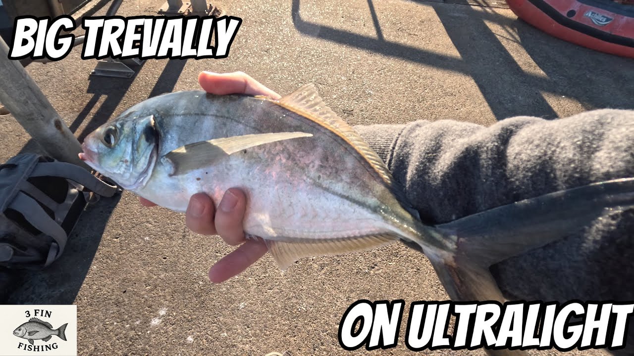 Fishing Landbased with Small Lures for QUALITY Fish | Greenwell Point Wharf