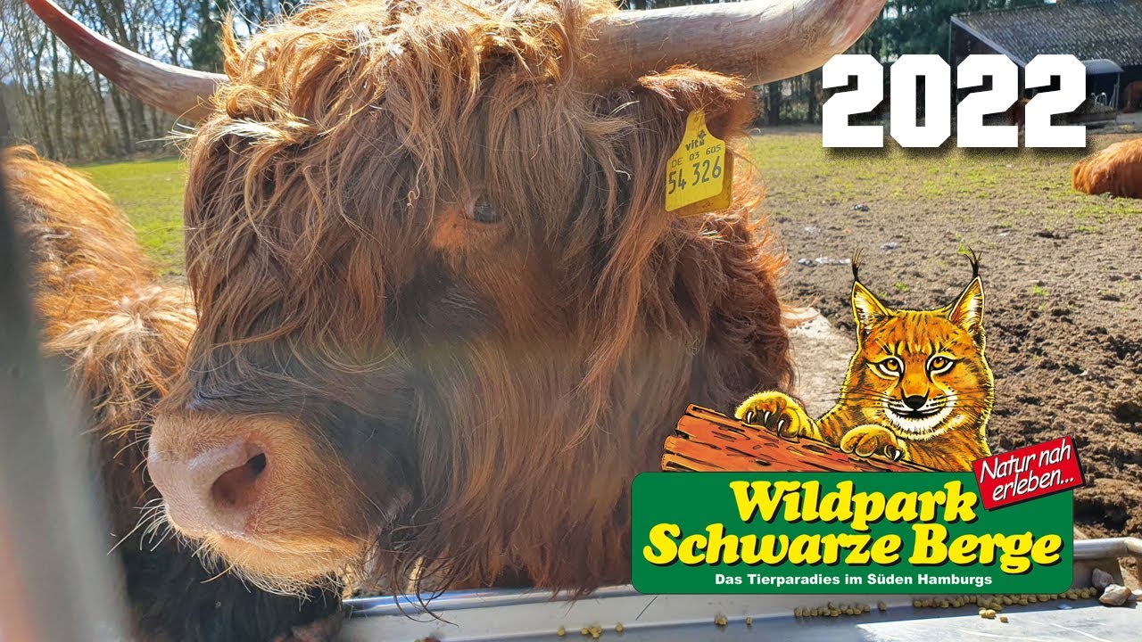 Wildpark Schwarze Berge 2022 März
