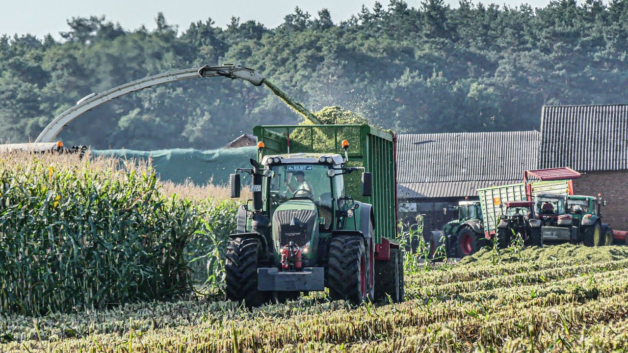 🌽Kiszonka z kukurydzy na dużą skalę🔥F.H.U Romax🔥SHREDLAGE√ Claas Jaguar 980💚Fendt 939 & 2xFendt936