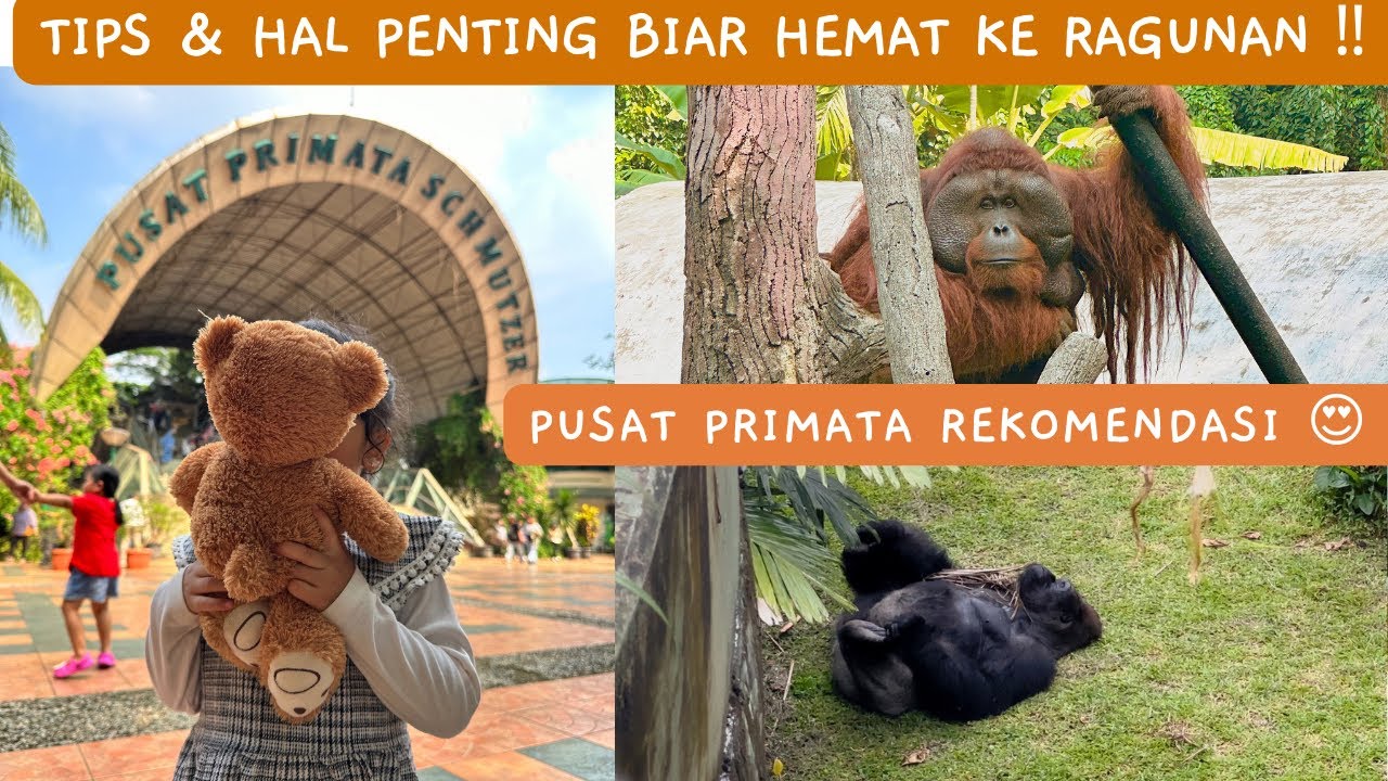 Ragunan Kebun Binatang 2023 ‼️ Tiket Masuk Ragunan terkini 4.000 aja..