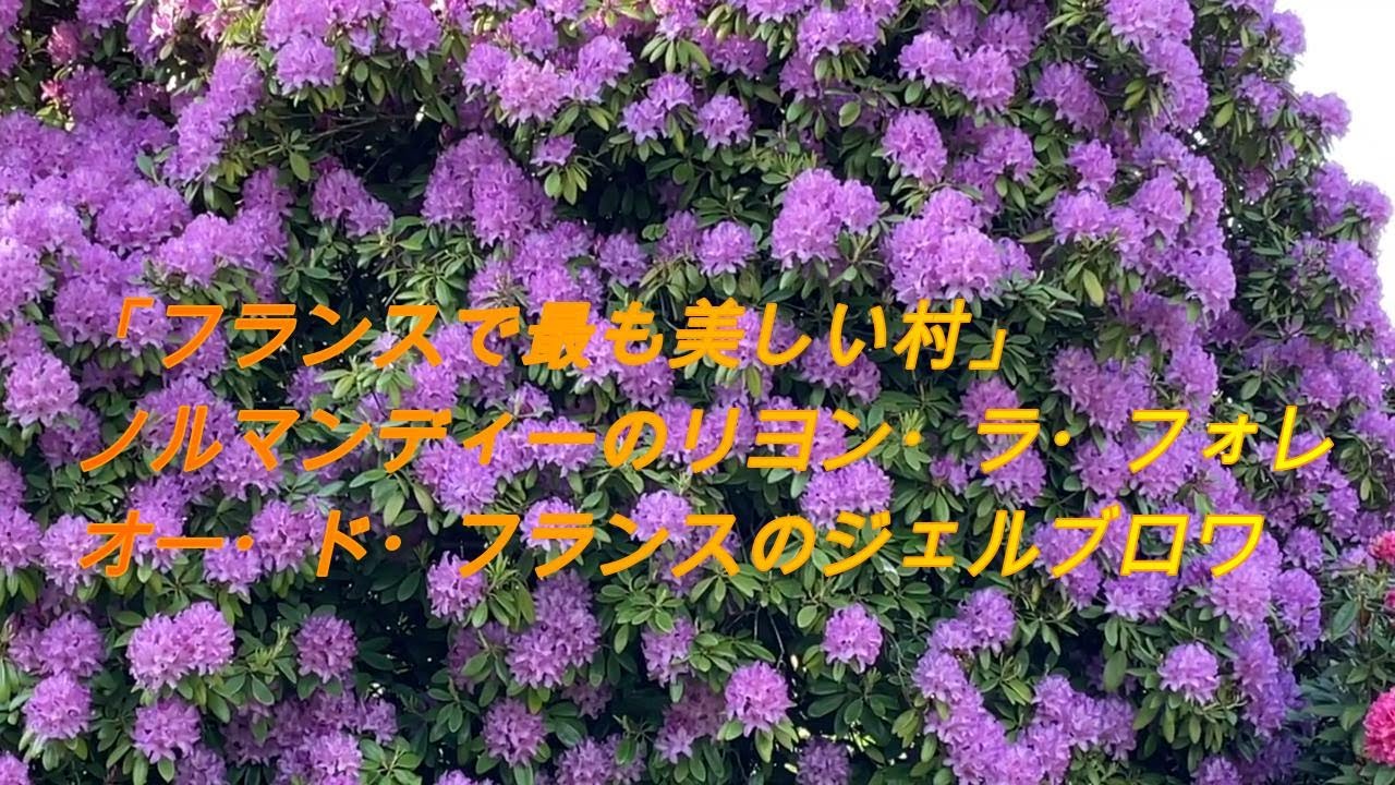 「フランスで最も美しい村」リヨン・ラ・フォレとジェルブロワをご案内します