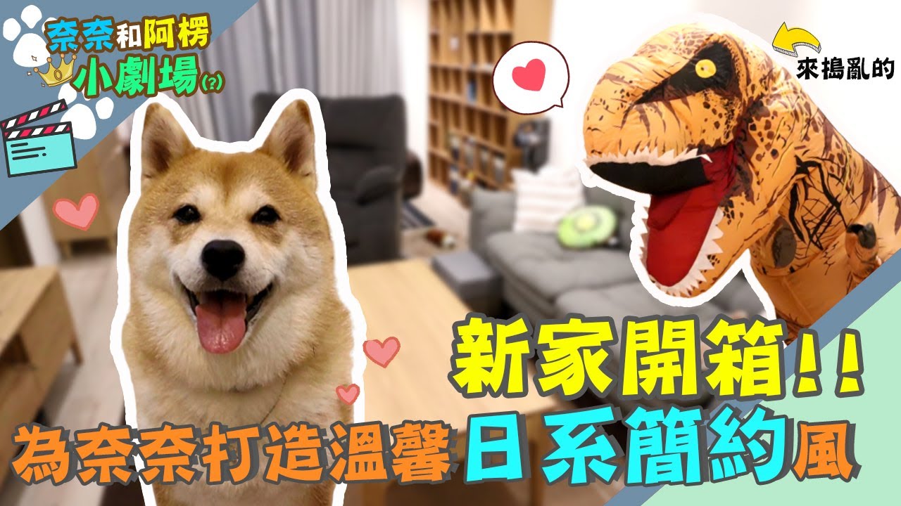 新家開箱!為奈奈打造日系簡約新家!讓來搗蛋的恐龍君也超愛?! ft. 宜得利家居 【奈奈阿楞小劇場】