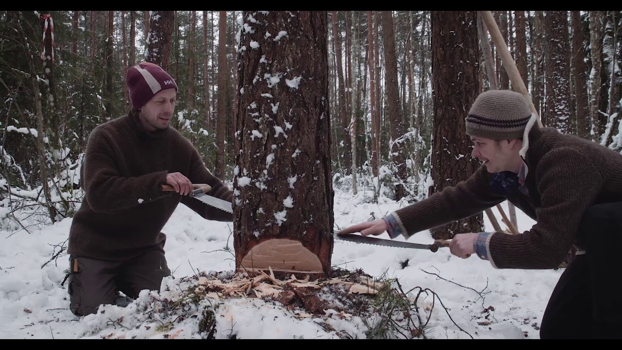 Logging day / Metsatööpäev. Majapalgitegu