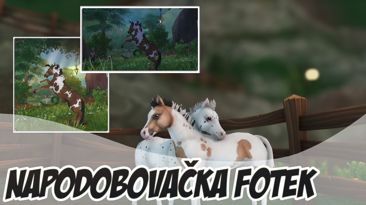 Napodobovačka fotek + nakupovačka || Star Stable CZ