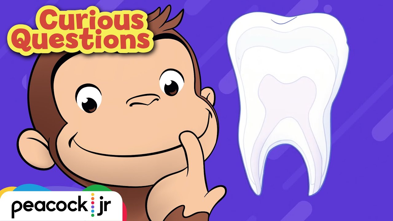Why Do We Brush Our Teeth? | CURIOUS QUESTIONS