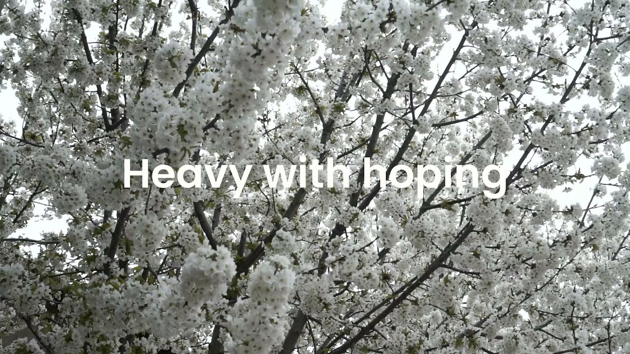 Akkai x Conyr - Heavy With Hoping (Madeon Cover)