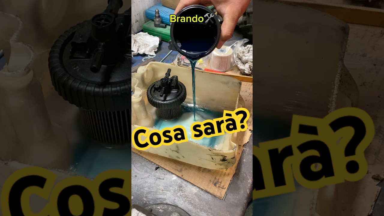 Gasolio colorato!😊perch&eacute;?