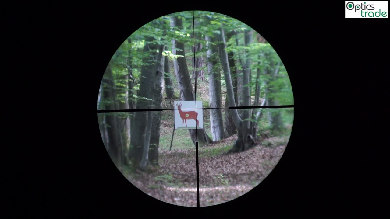 Zeiss Conquest V6 1.1-6x24 Reticle 60 Subtensions