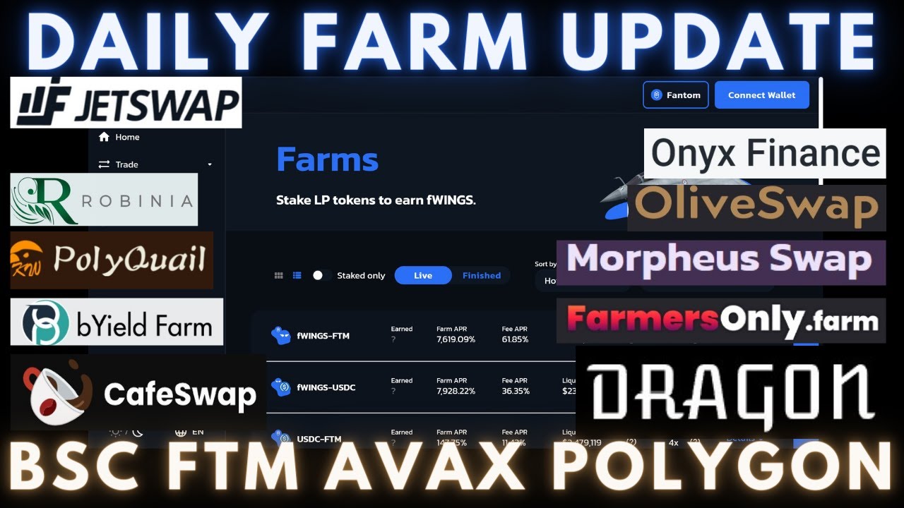Daily Degen Farm Update | BSC - FTM - AVAX - POLYGON | New Farms and an IHO