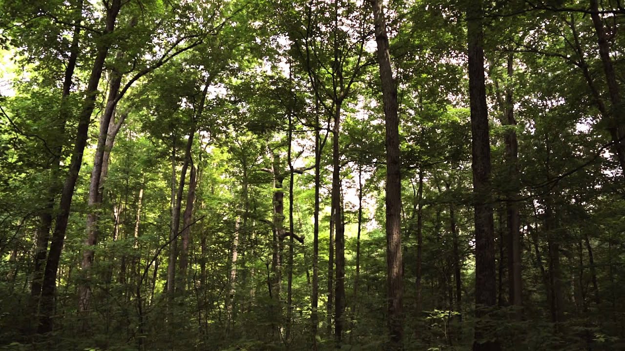 Limestone Country - Outdoor Adventures
