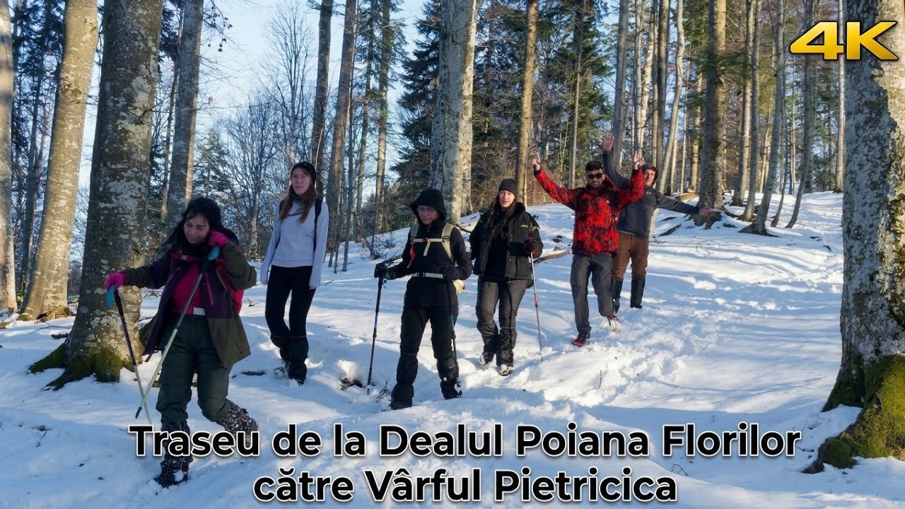 Traseu de la Dealul Poiana Florilor către Vârful Pietricica