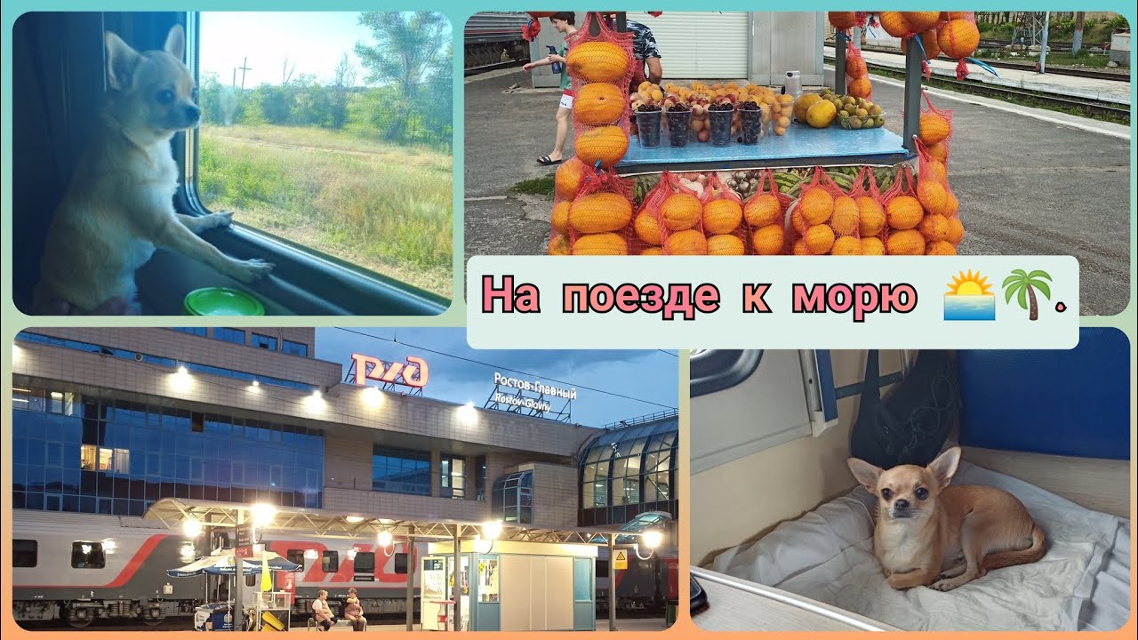 🚆Поезд №477 Челябинск-Адлер.Плацкартный вагон. Едем  к морю🌅🌴. Гуляем на станциях).