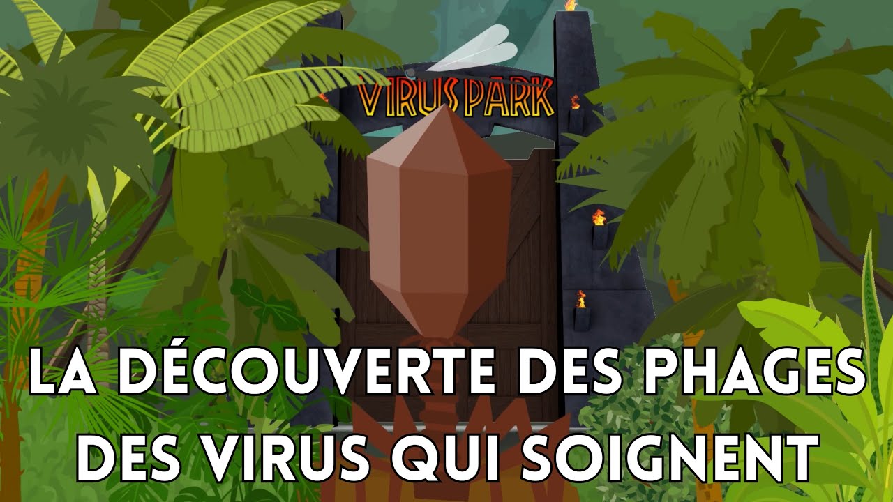 La découverte des phages, des virus qui soignent !⚕️