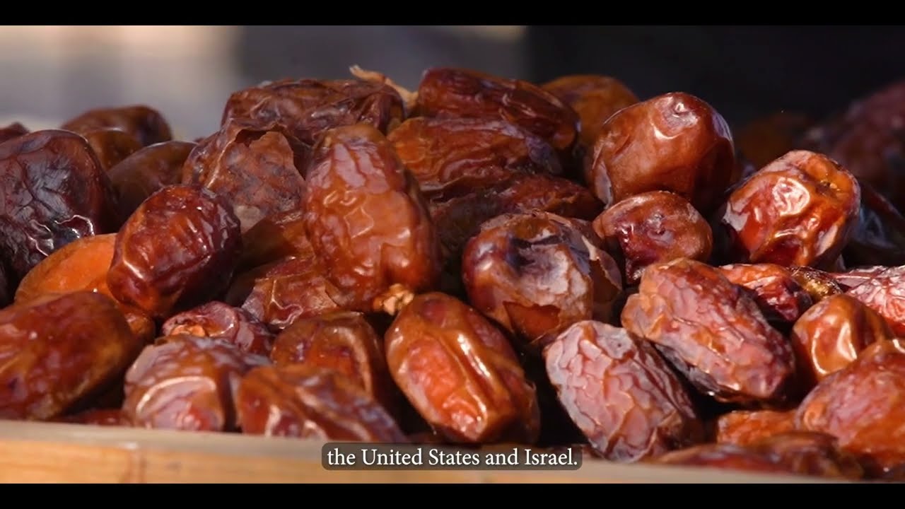 Microdocumental: San Luis Rio Colorado, la Capital del D&aacute;til / Microdocumentary: the Date Capital