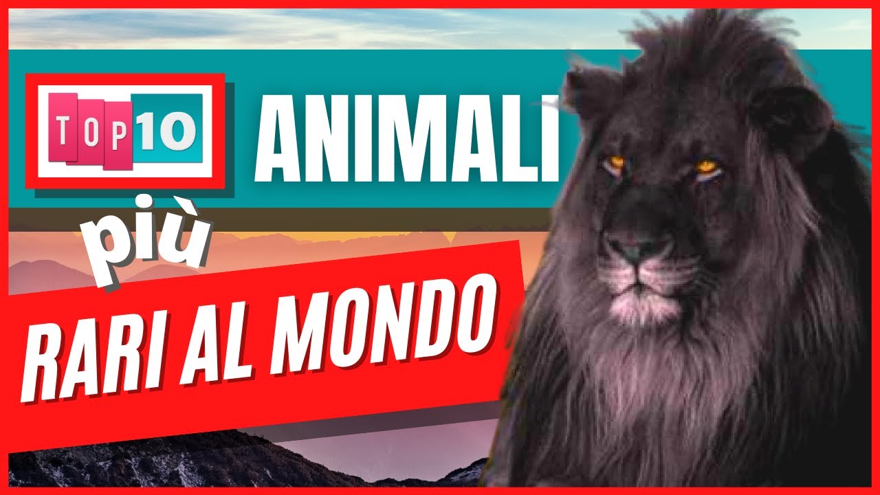 TOP 10 animali pi&ugrave; rari al mondo