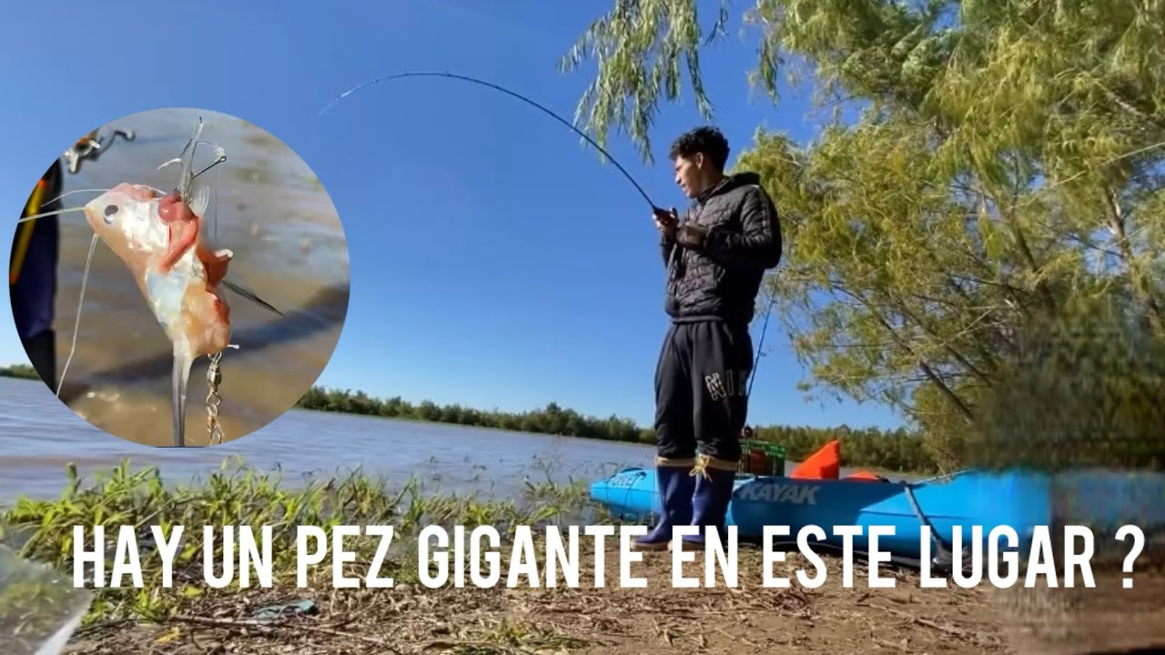 ❗️Pesca y cocina,cocinamos pescado al palo…una delicia🎣🤯