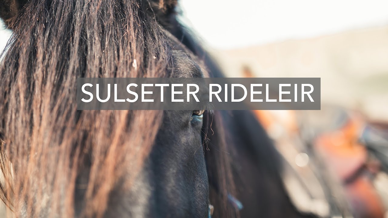 Sulseter Rideleir