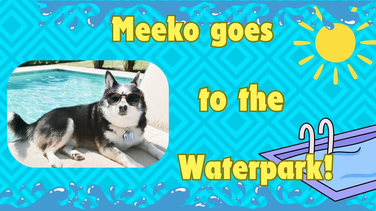 Meeko's trip to the aquatic center 2025