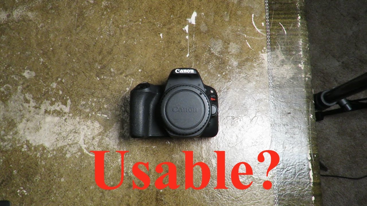 Canon SL2 in 2022!