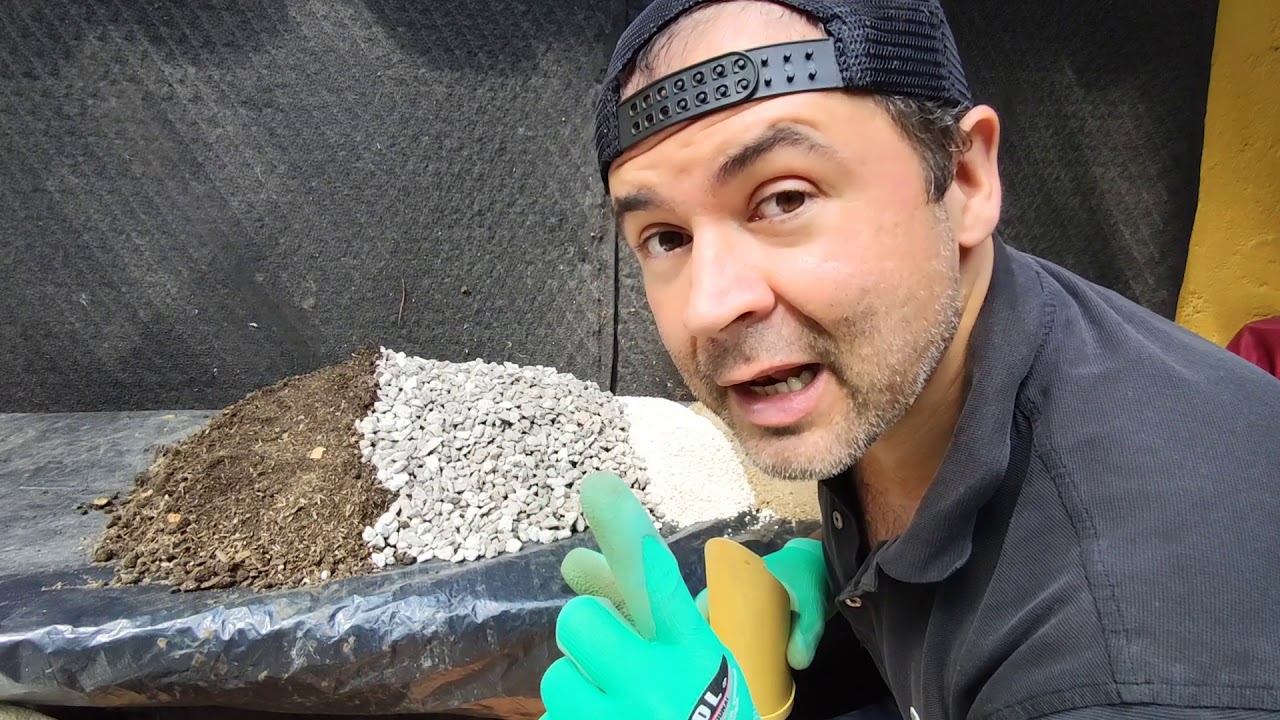 Bonsái Colombia, que sustrato usar para Bonsái en el trópico. #bonsaicolombia #medellin