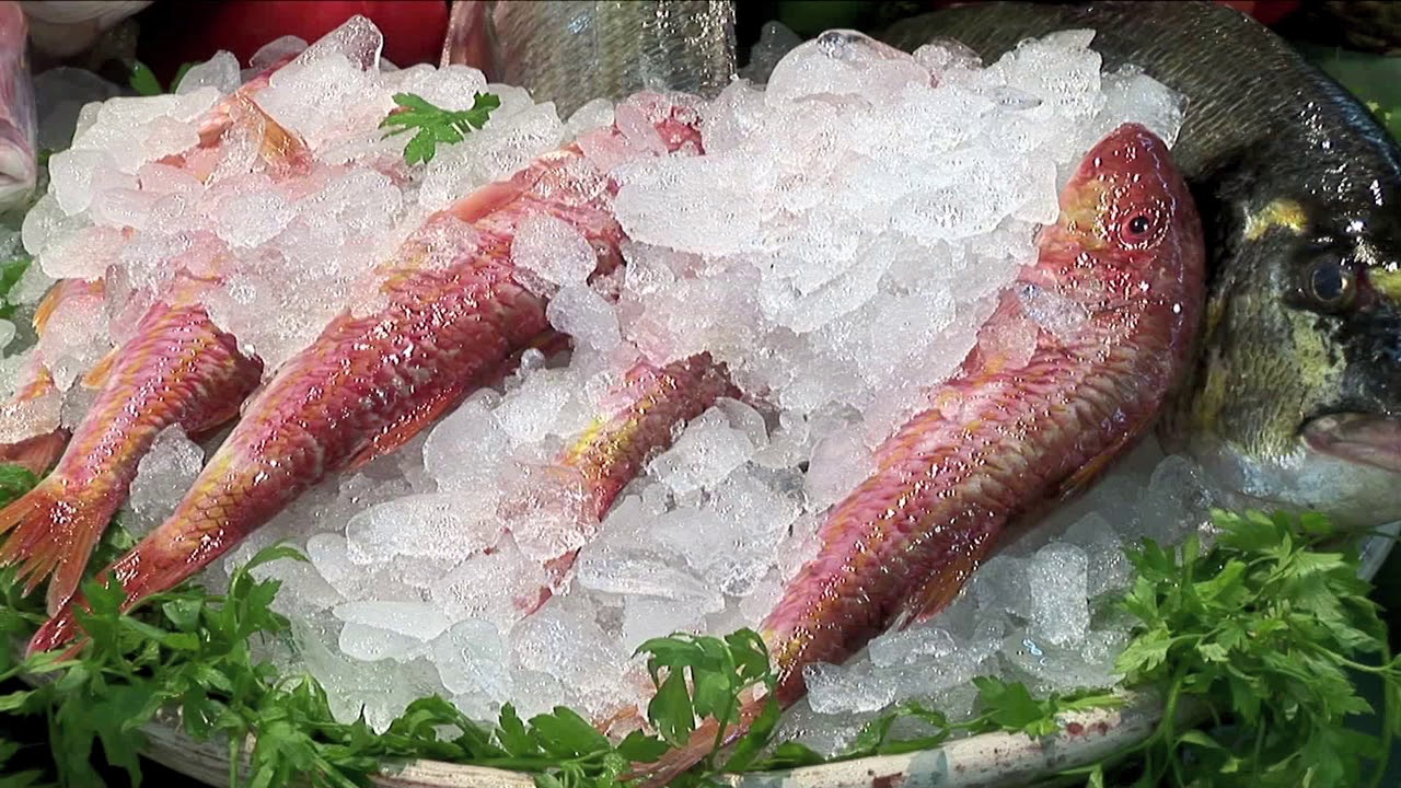 La conservación del medio marino