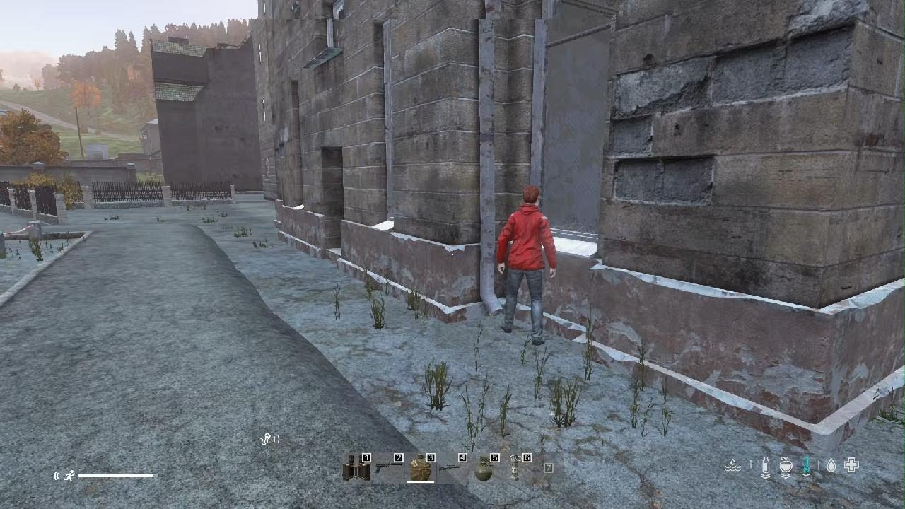 DayZ_20260315204817