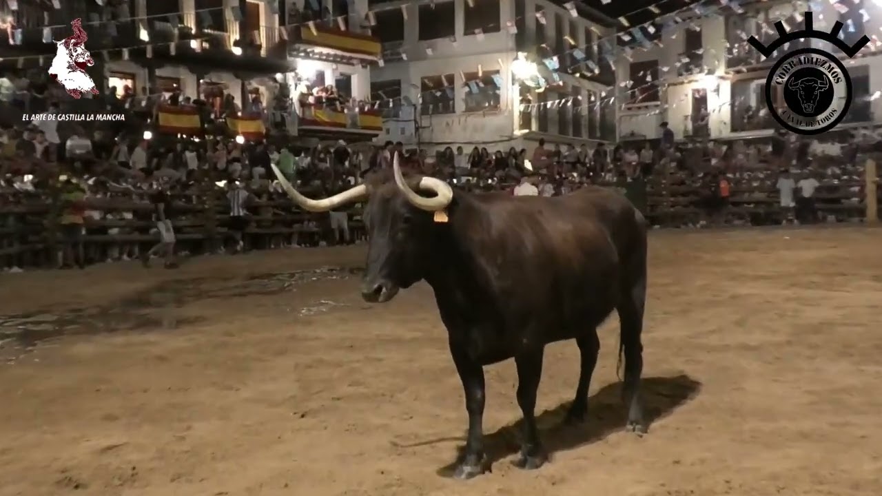 𝐕𝐚𝐜𝐚𝐬 𝐝𝐞 𝐉𝐮𝐚𝐧 𝐑𝐢𝐯𝐞𝐫𝐚, 𝐀𝐫𝐫𝐢𝐚𝐳𝐮 𝐲 𝐔𝐬𝐭𝐚𝐫𝐫𝐨𝐳 - 𝐋𝐚 𝐏𝐮𝐞𝐛𝐥𝐚 𝐝𝐞 𝐌𝐨𝐧𝐭𝐚𝐥𝐛𝐚́𝐧 (𝐓𝐨𝐥𝐞𝐝𝐨) - 𝟐𝟐-𝟎𝟕-𝟐𝟎𝟐𝟓