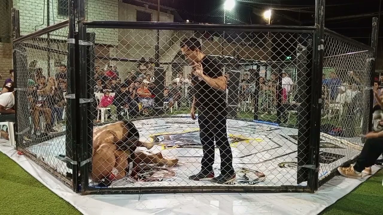 JOSE LUIS GONZALES VS ANGEL AMAYA - WOLF COMBAT I