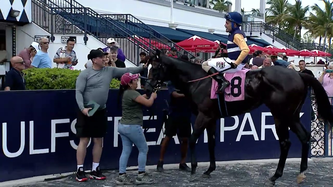 Повтор шоу в Gulfstream Park | 19 октября 2025 г.