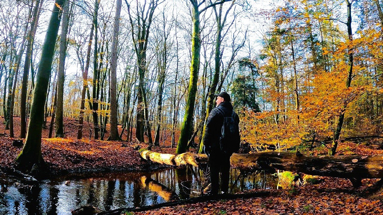 *HIKING* Weekly Walks - Leuvenum (Solo Hiking Along The Leuvenum Brook)