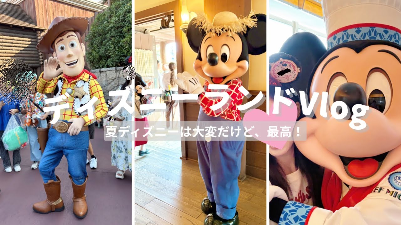 【ディズニーVlog】シェフミとディズニーランド行ってきた！【誕生日】アーリーイブニング
