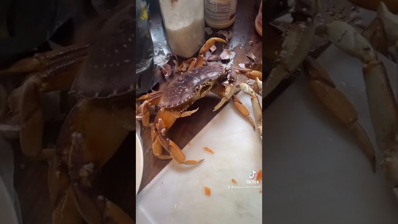 La gaiba mordelona