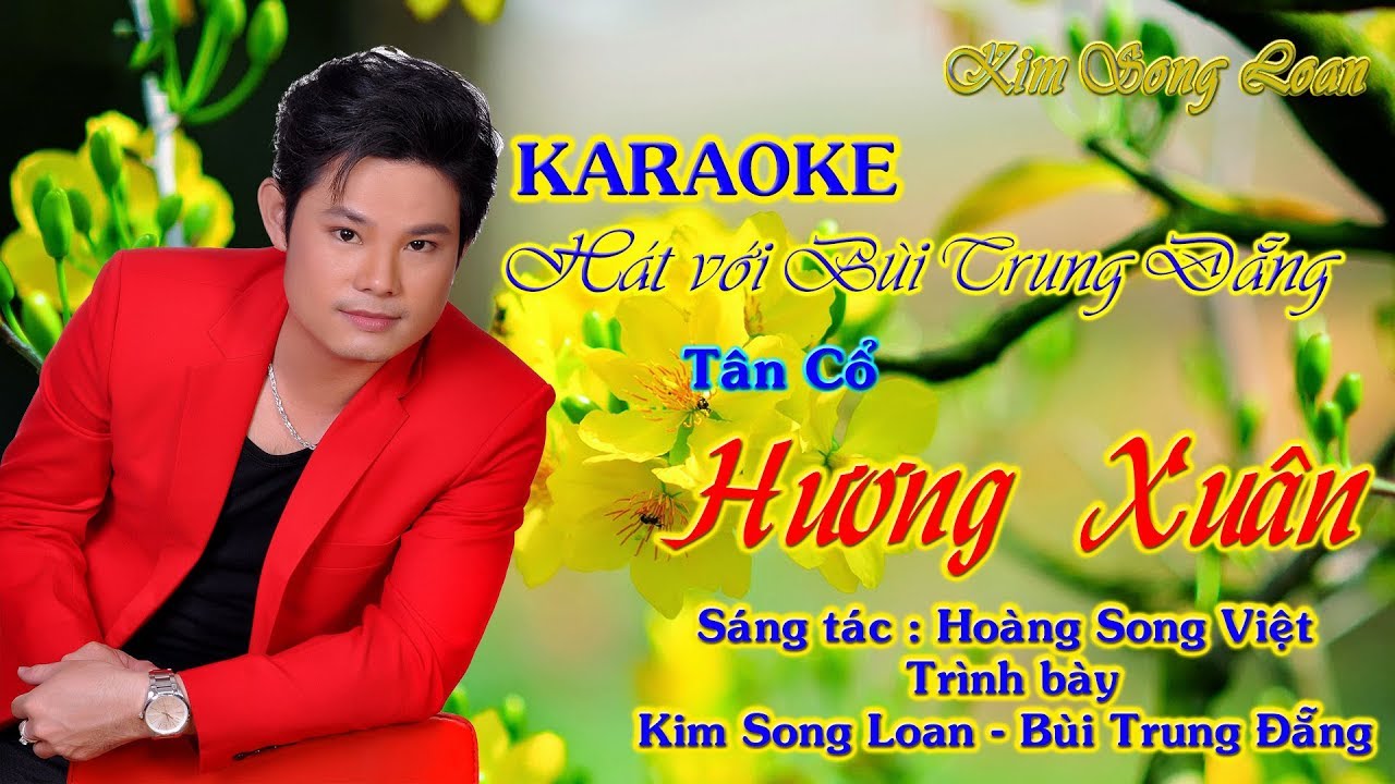 KARAOKE HƯƠNG XUÂN / THIẾU ĐÀO